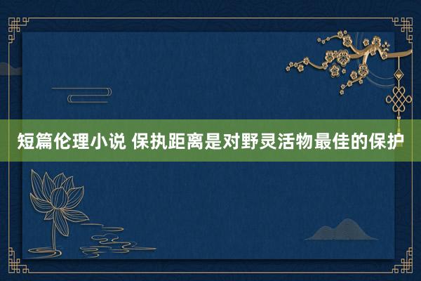 短篇伦理小说 保执距离是对野灵活物最佳的保护