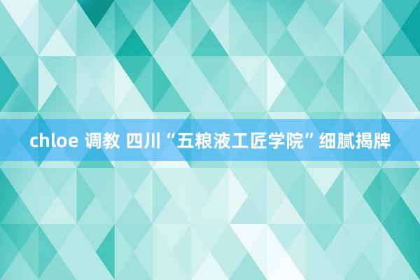 chloe 调教 四川“五粮液工匠学院”细腻揭牌