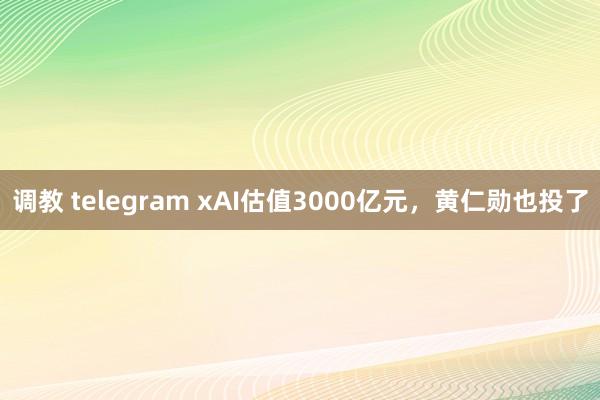 调教 telegram xAI估值3000亿元，黄仁勋也投了