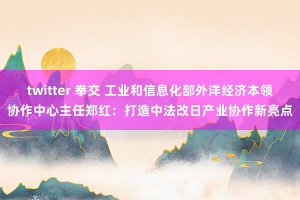 twitter 拳交 工业和信息化部外洋经济本领协作中心主任郑红：打造中法改日产业协作新亮点