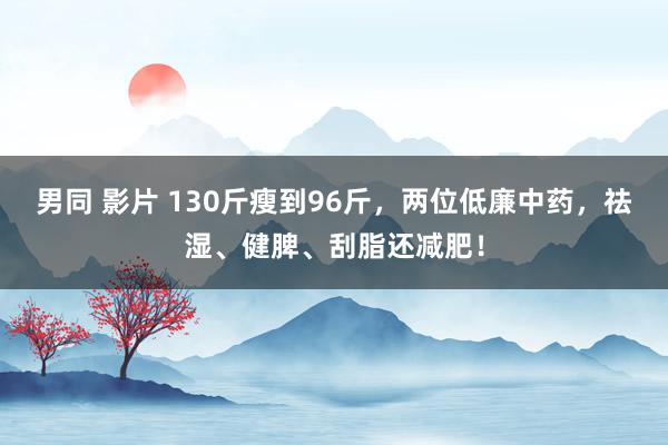 男同 影片 130斤瘦到96斤，两位低廉中药，祛湿、健脾、刮脂还减肥！