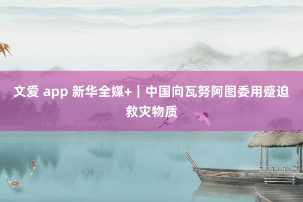 文爱 app 新华全媒+｜中国向瓦努阿图委用蹙迫救灾物质