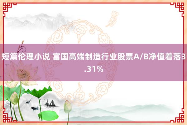 短篇伦理小说 富国高端制造行业股票A/B净值着落3.31%