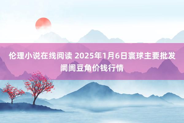 伦理小说在线阅读 2025年1月6日寰球主要批发阛阓豆角价钱行情