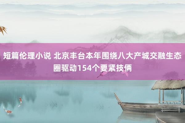 短篇伦理小说 北京丰台本年围绕八大产城交融生态圈驱动154个要紧技俩