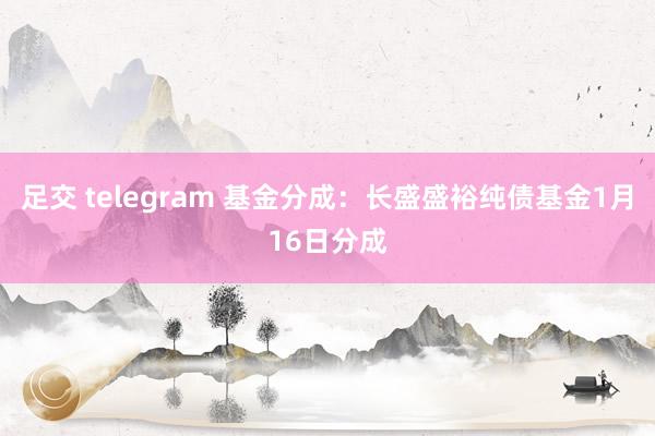 足交 telegram 基金分成：长盛盛裕纯债基金1月16日分成