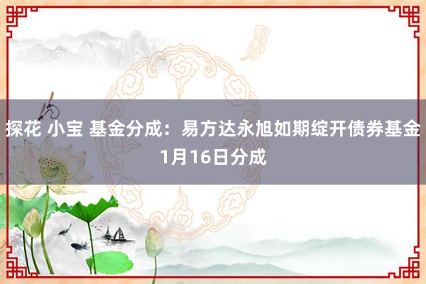 探花 小宝 基金分成：易方达永旭如期绽开债券基金1月16日分成