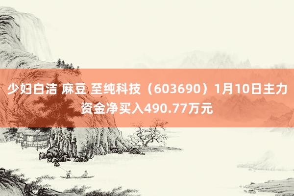 少妇白洁 麻豆 至纯科技（603690）1月10日主力资金净买入490.77万元