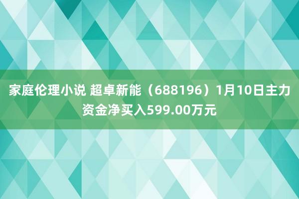 家庭伦理小说 超卓新能（688196）1月10日主力资金净买入599.00万元