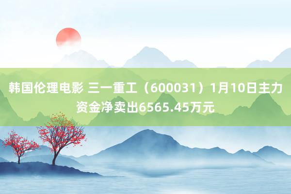 韩国伦理电影 三一重工（600031）1月10日主力资金净卖出6565.45万元