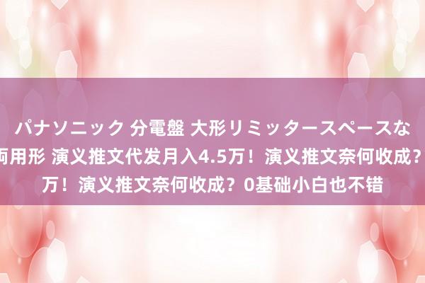 パナソニック 分電盤 大形リミッタースペースなし 露出・半埋込両用形 演义推文代发月入4.5万！演义推文奈何收成？0基础小白也不错