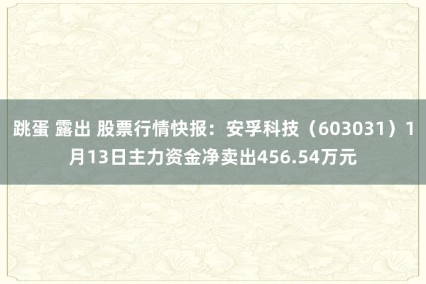 跳蛋 露出 股票行情快报：安孚科技（603031）1月13日主力资金净卖出456.54万元