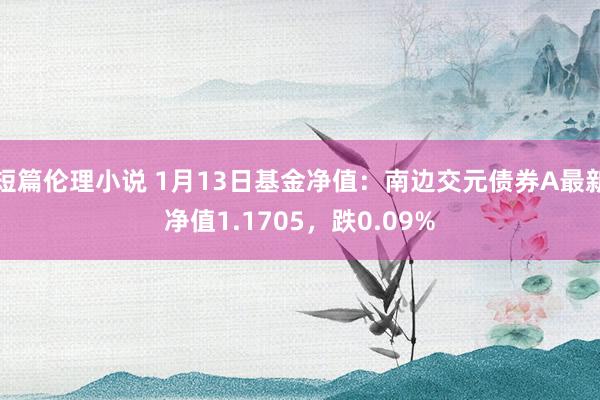 短篇伦理小说 1月13日基金净值：南边交元债券A最新净值1.1705，跌0.09%