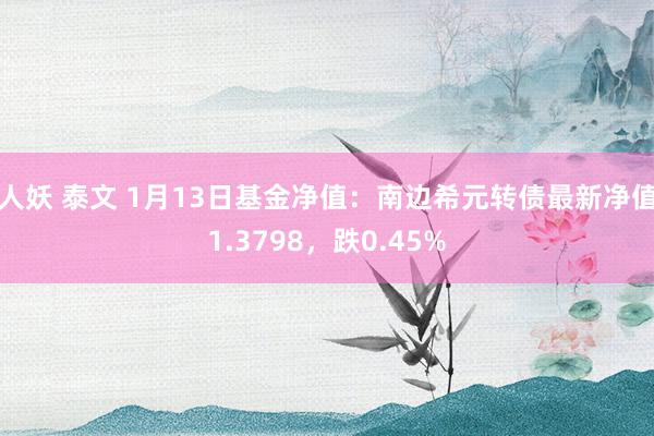 人妖 泰文 1月13日基金净值：南边希元转债最新净值1.3798，跌0.45%