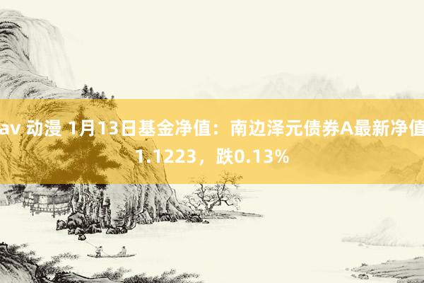 av 动漫 1月13日基金净值：南边泽元债券A最新净值1.1223，跌0.13%