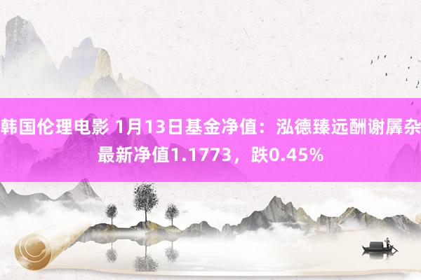 韩国伦理电影 1月13日基金净值：泓德臻远酬谢羼杂最新净值1.1773，跌0.45%