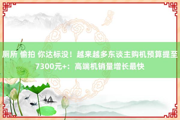 厕所 偷拍 你达标没！越来越多东谈主购机预算提至7300元+：高端机销量增长最快