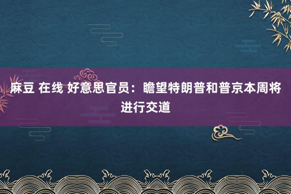 麻豆 在线 好意思官员：瞻望特朗普和普京本周将进行交道