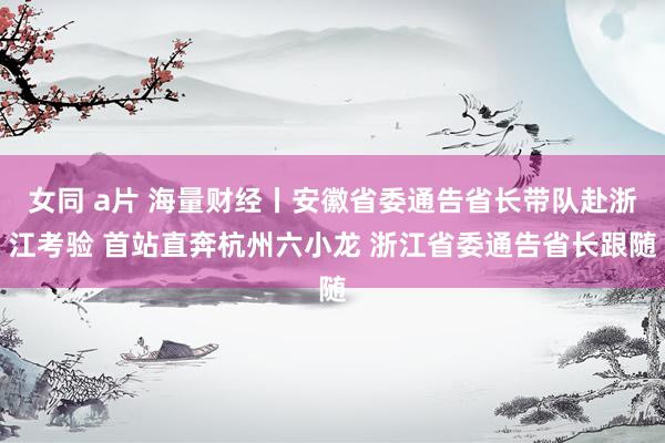 女同 a片 海量财经丨安徽省委通告省长带队赴浙江考验 首站直奔杭州六小龙 浙江省委通告省长跟随